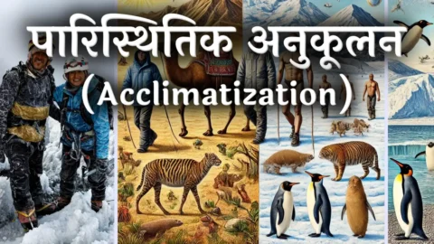 Acclimatization