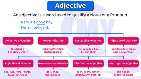 Adjective and its type