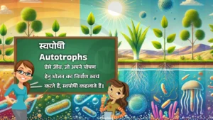 Swaposhi - Autotrophs in Hindi