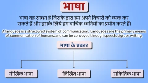 Bhasha - Bhasha Ke Prakar, Bhed