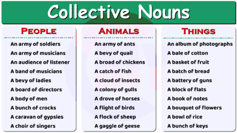 Collective Nouns