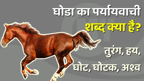 Ghoda Ka Paryayvachi Shabd