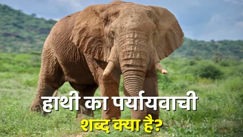 Hathi Ka Paryayvachi Shabd