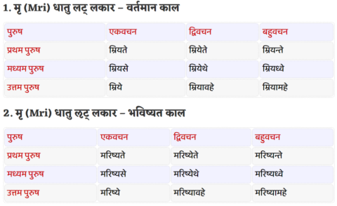 Mri Dhatu Roop in Sanskrit