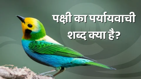 Pakshi Ka Paryayvachi Shabd