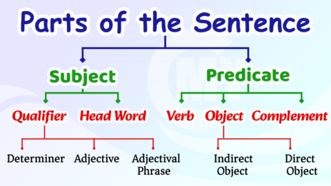 Parts of the Sentence