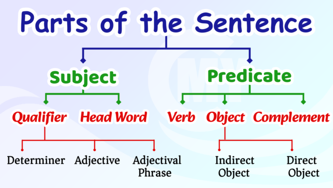 Division (Parts) of the Sentence