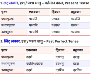 Pashya or Drash Ke Dhatu Roop