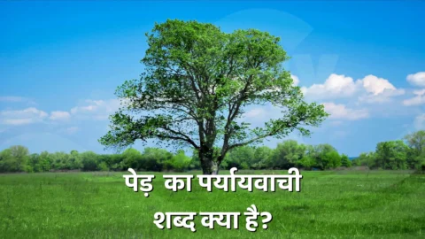 Ped Ka Paryayvachi Shabd