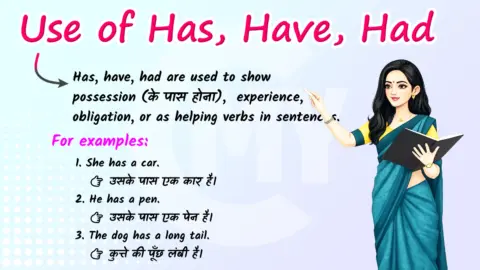 Use of Has, Have, Had