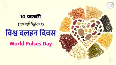 World Pulses Day