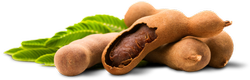 tamarind