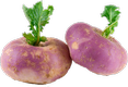 turnip