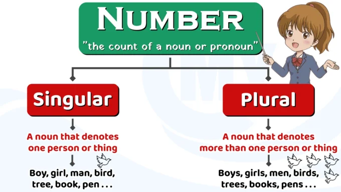 Number - Singular and Plural in English Grammar