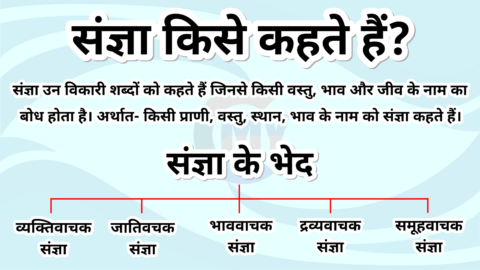 sangya kise kahte hai